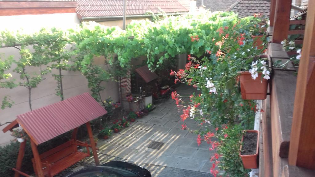 Pensiunea Razvan Gura Rîului Εξωτερικό φωτογραφία